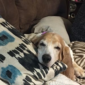 Meet your Posher, Lorna